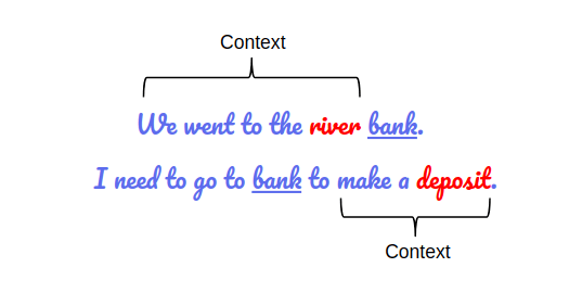 google bert bidireccional